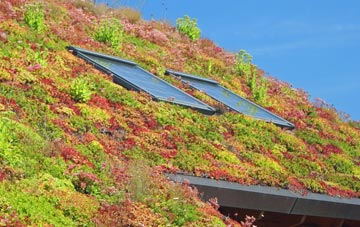 Camborne living roof systems